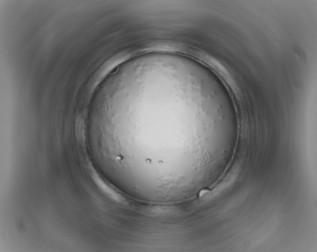 X0000110981433200907022046