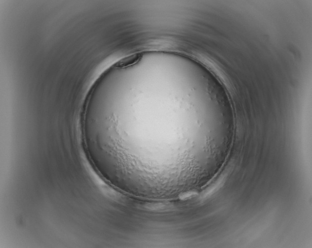 X0000110981434200907022046