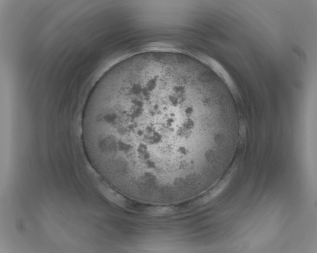 X0000110981435200907022046