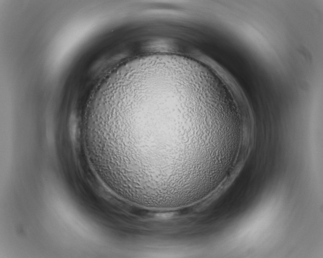 X0000110981438200907022046