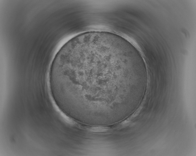 X0000110981440200907022046