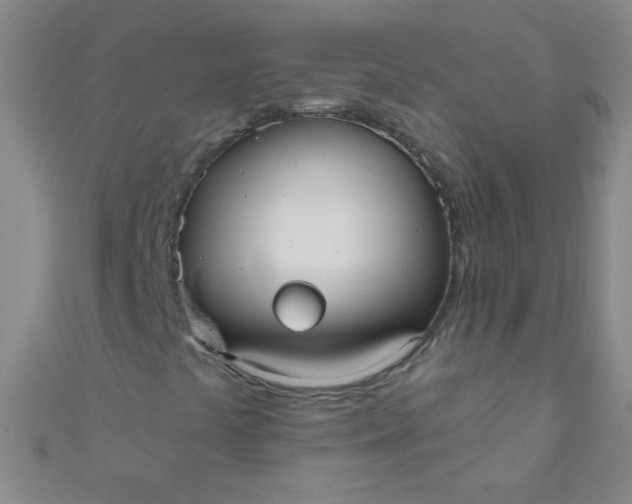 X0000110981441200907022046