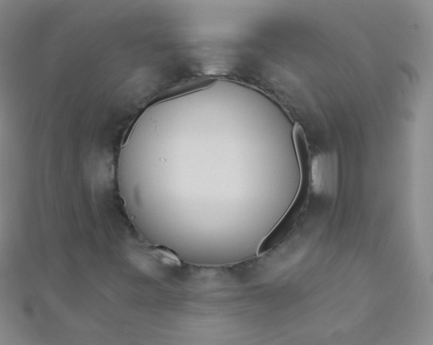 X0000110981443200907022046