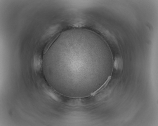 X0000110981444200907022046