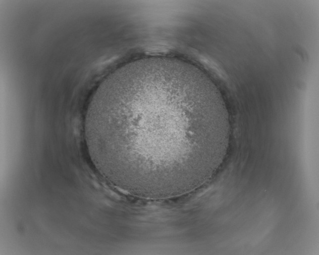 X0000110981445200907022046