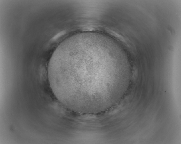 X0000110981446200907022046