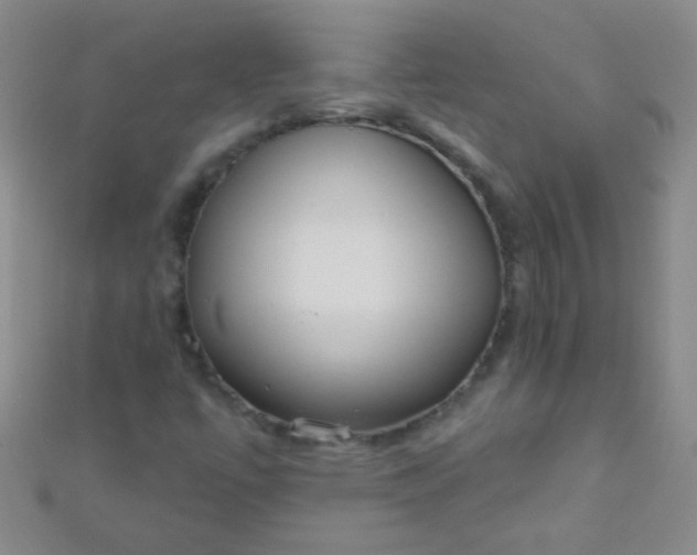 X0000110981447200907022046