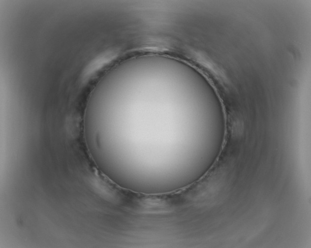 X0000110981448200907022046