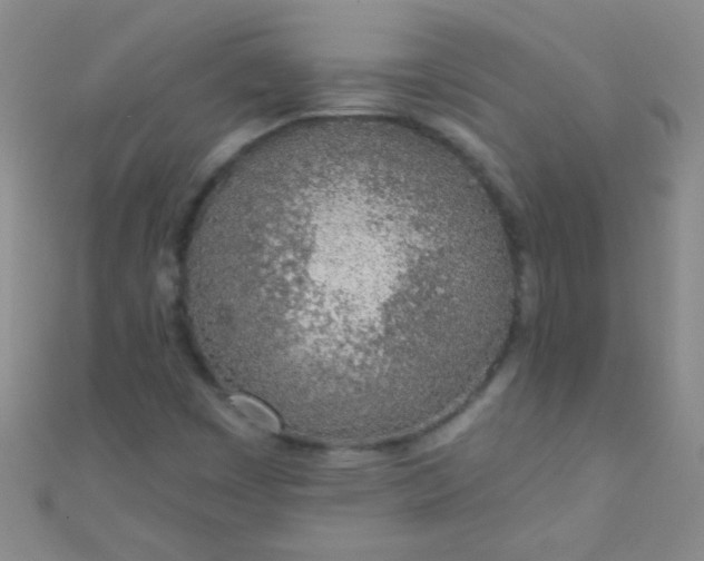 X0000110981449200907022046