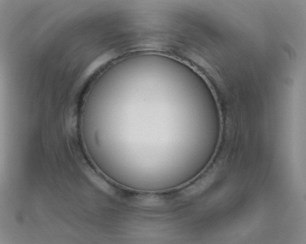 X0000110981450200907022046