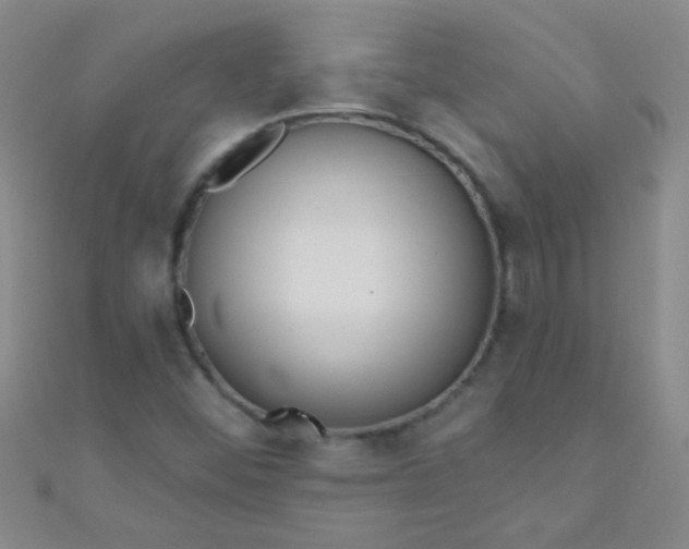 X0000110981452200907022046