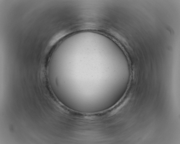 X0000110981453200907022046