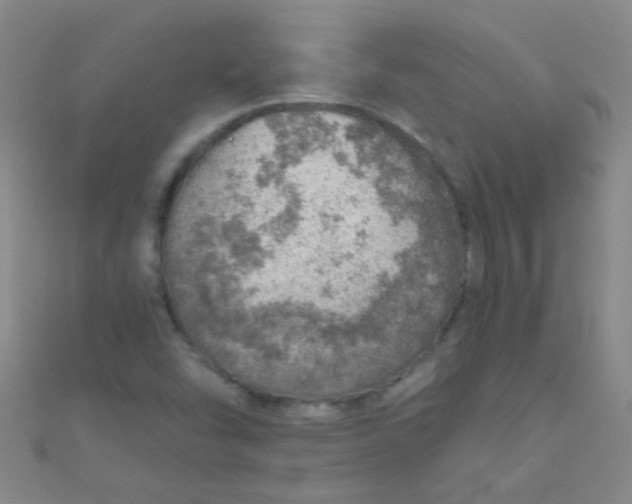 X0000110981454200907022046