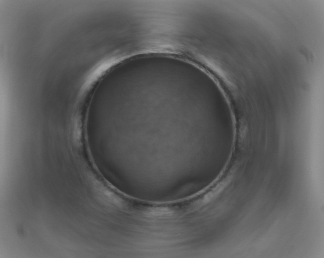 X0000110981455200907022046