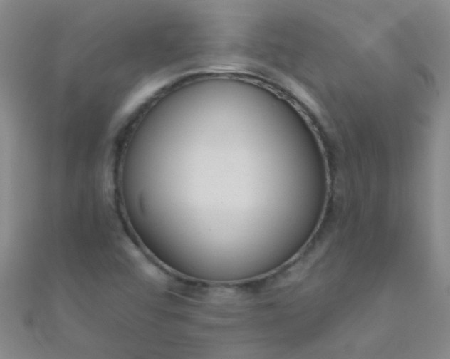 X0000110981456200907022046