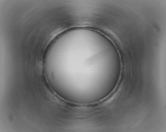 X0000110981457200907022046