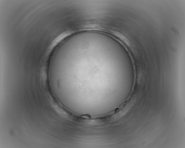 X0000110981458200907022046