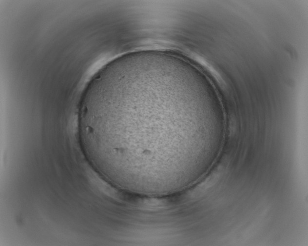 X0000110981459200907022046