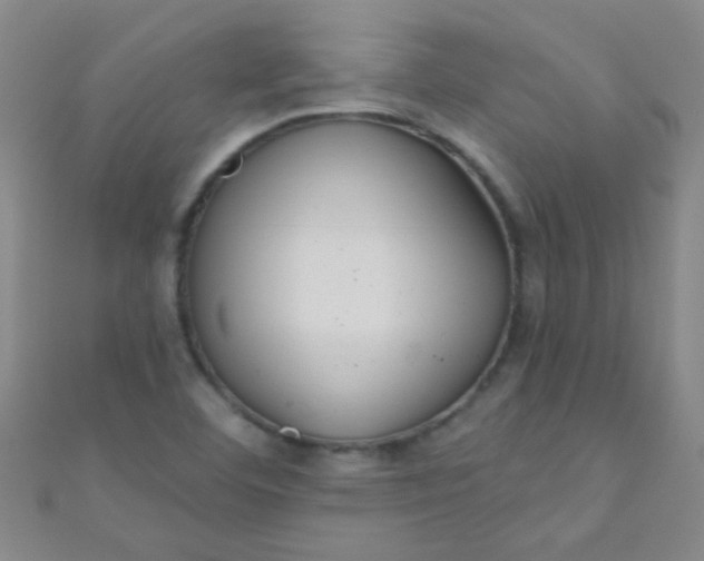 X0000110981460200907022046