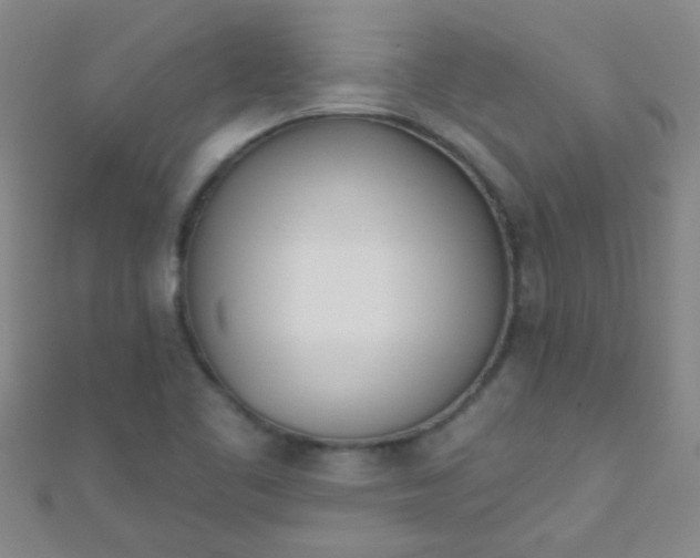 X0000110981461200907022045