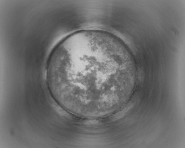 X0000110981462200907022045