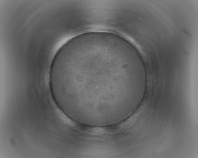 X0000110981463200907022045