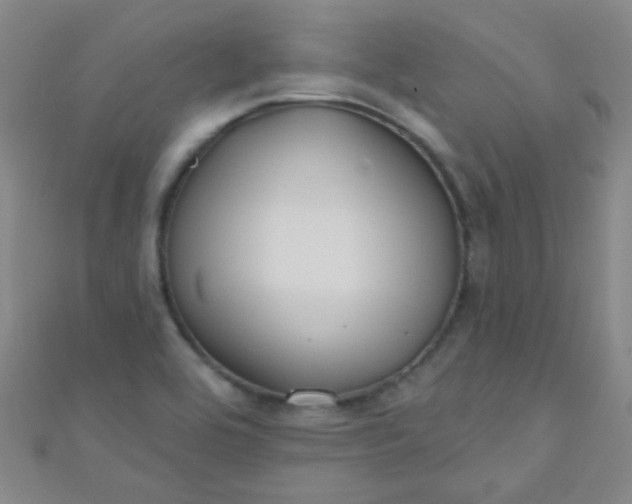 X0000110981464200907022045