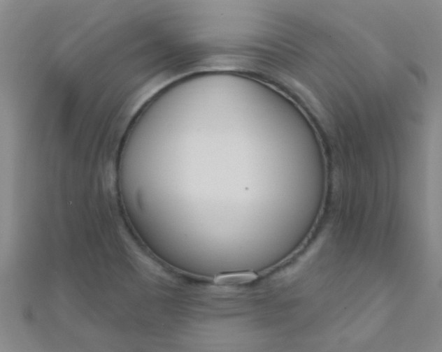 X0000110981465200907022045