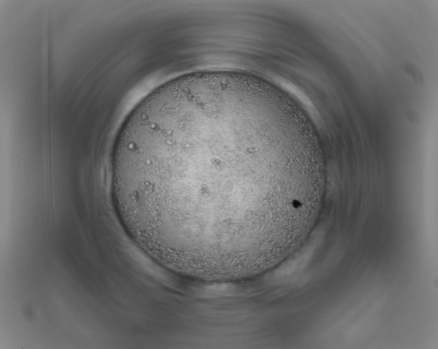 X0000110981467200907022045