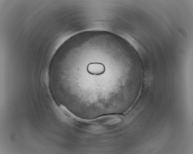 X0000110981468200907022045