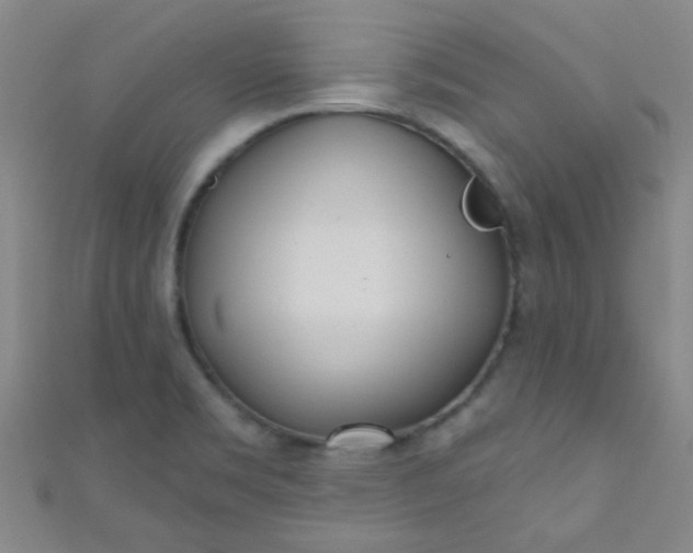 X0000110981469200907022045