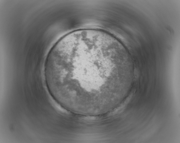 X0000110981470200907022045