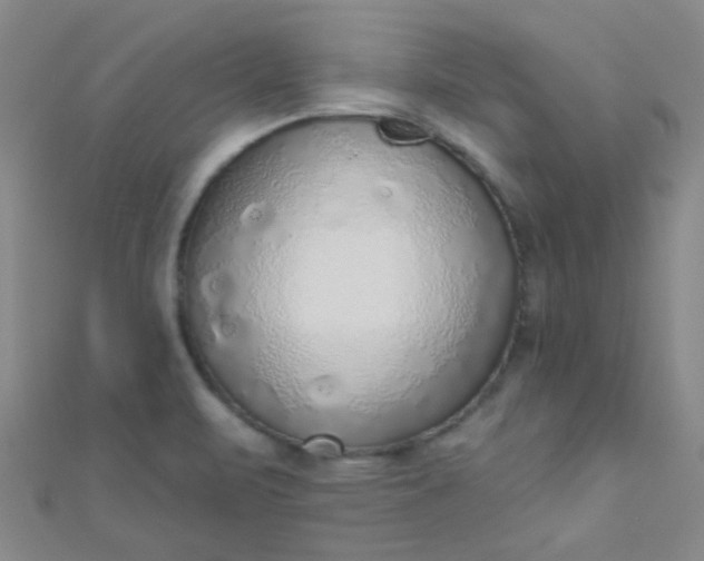 X0000110981471200907022045