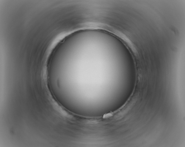 X0000110981472200907022045