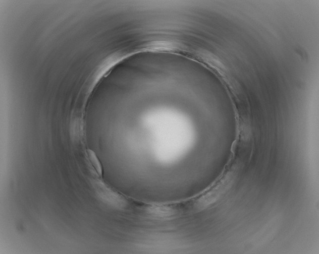 X0000110981473200907022045