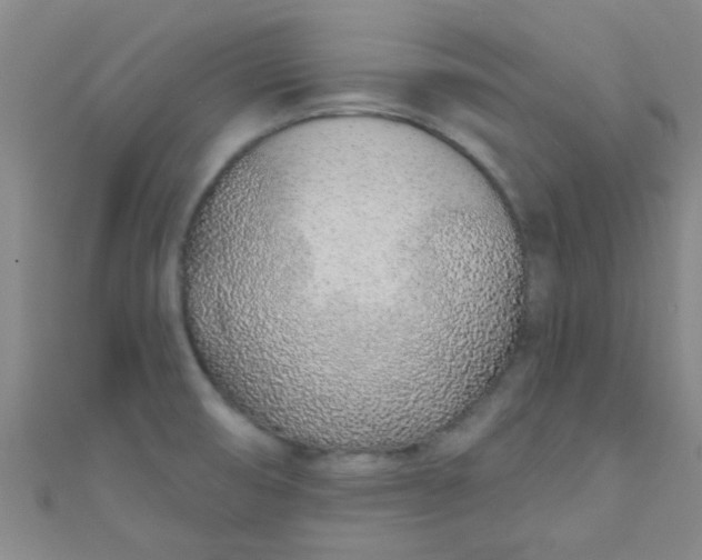 X0000110981474200907022045