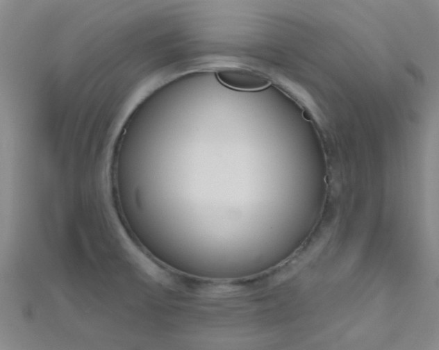 X0000110981475200907022045