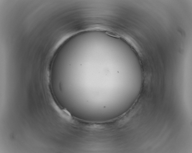 X0000110981476200907022045