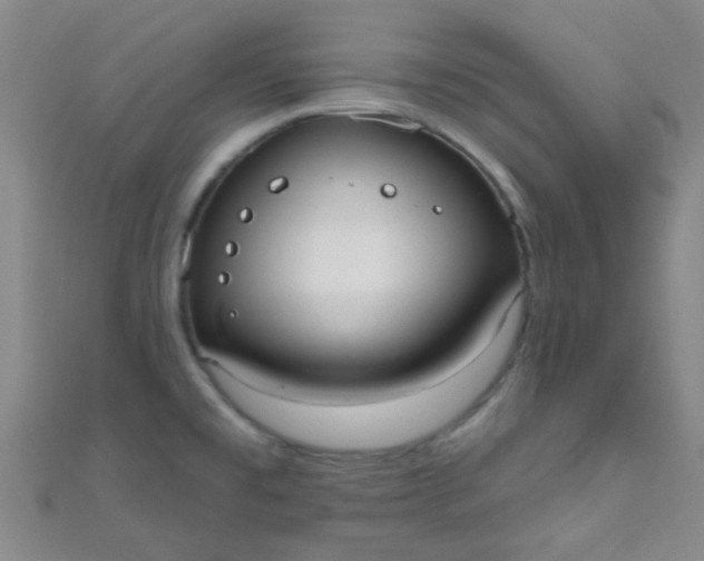 X0000110981477200907022045