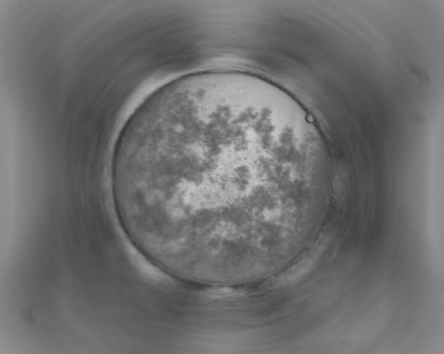 X0000110981478200907022045