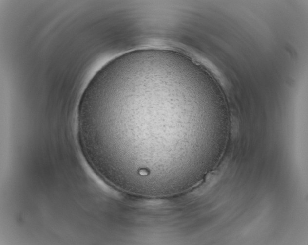 X0000110981479200907022045