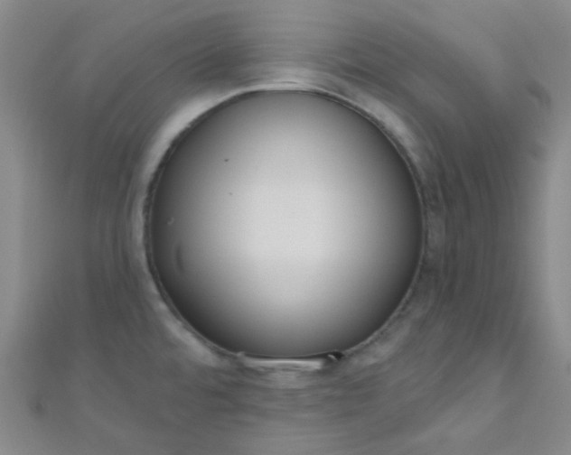 X0000110981480200907022045