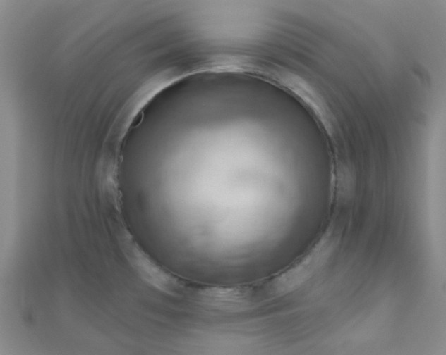 X0000110981481200907022045