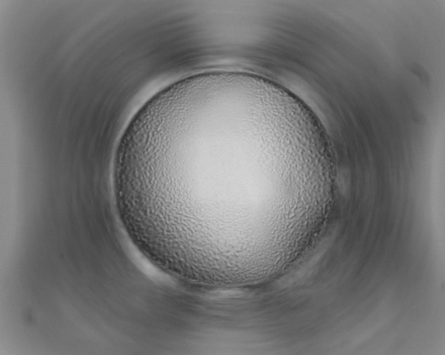 X0000110981482200907022045