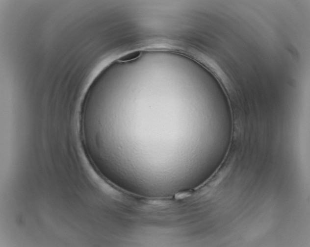 X0000110981483200907022045