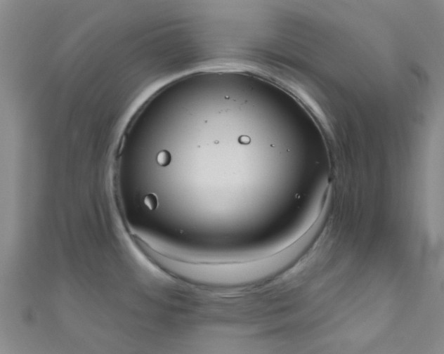 X0000110981484200907022045