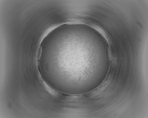 X0000110981485200907022045