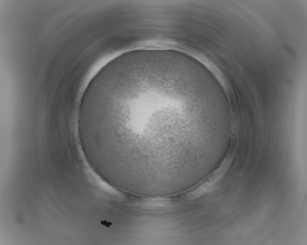 X0000110981486200907022045