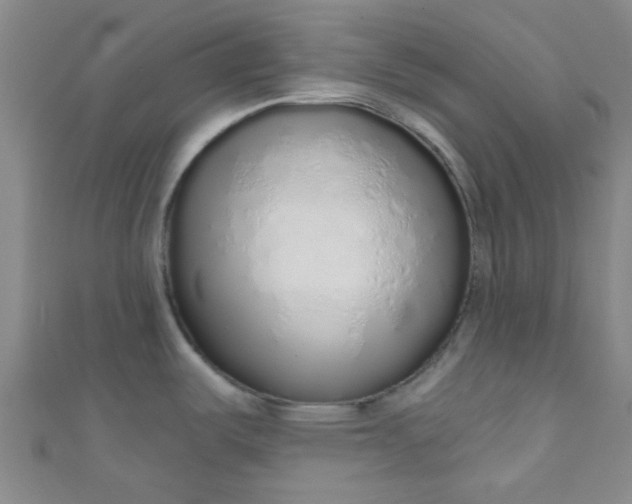 X0000110981487200907022045