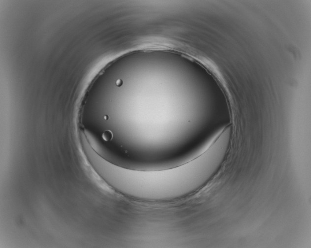 X0000110981488200907022045